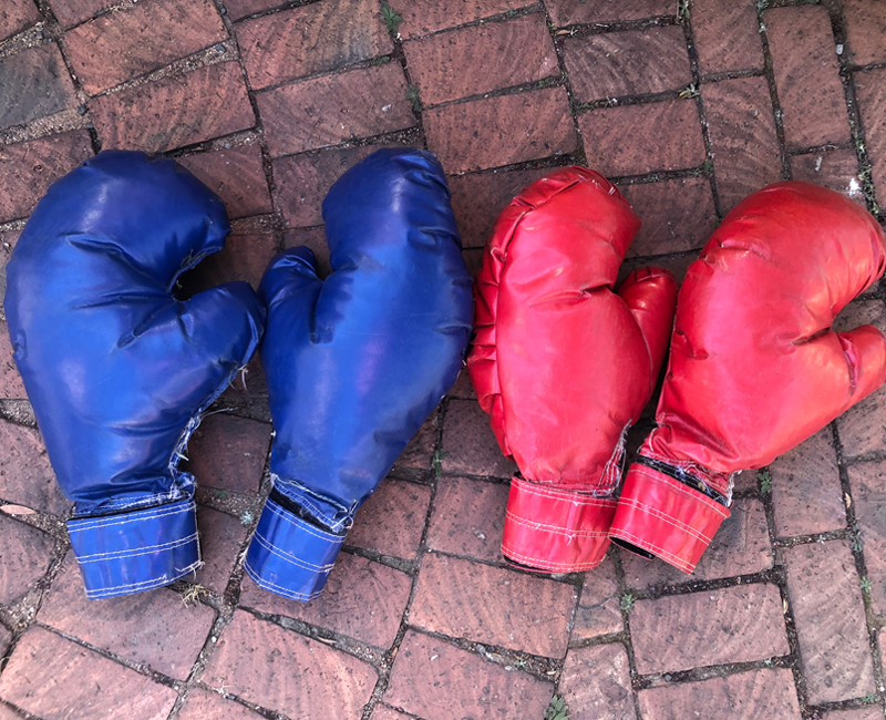 Boxing gloves