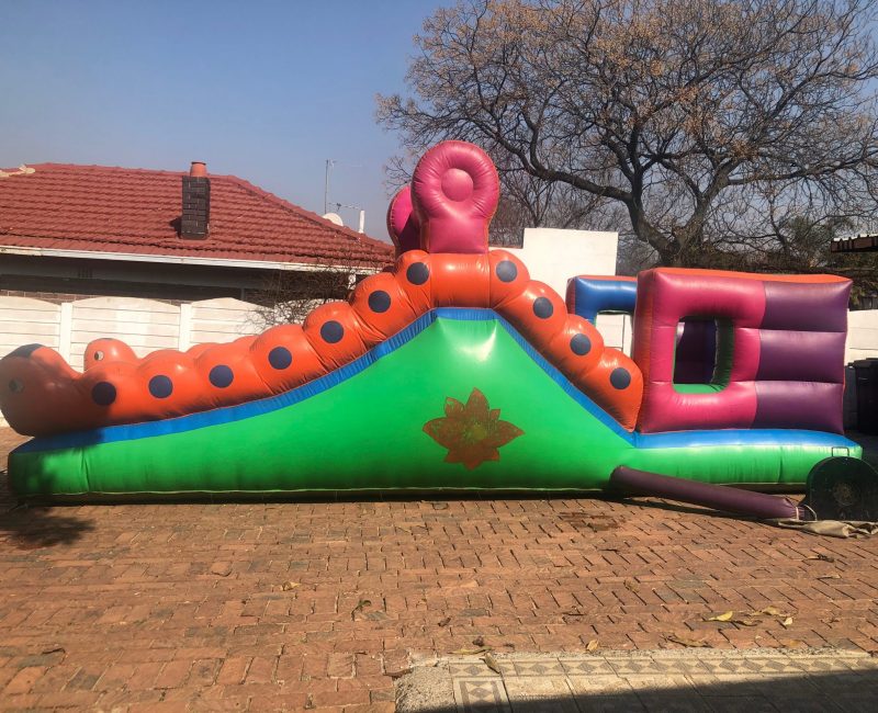 Worm jumping castle
