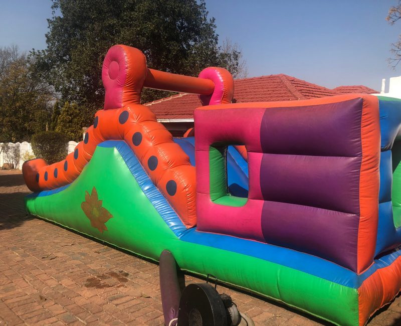 Worm side view